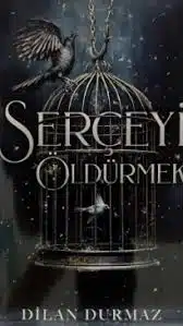 Dilan Durmaz «Serçeyi Öldürmek»